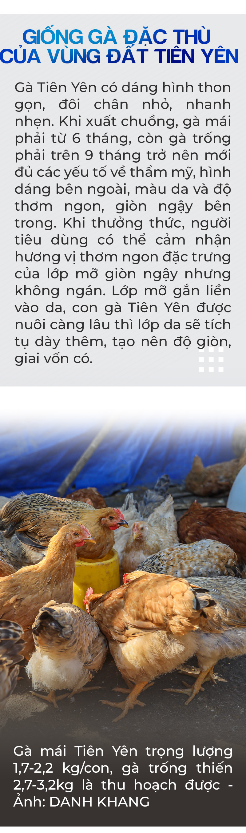 Sức trẻ dấn thân của tuổi trẻ Quảng Ninh - Ảnh 13.