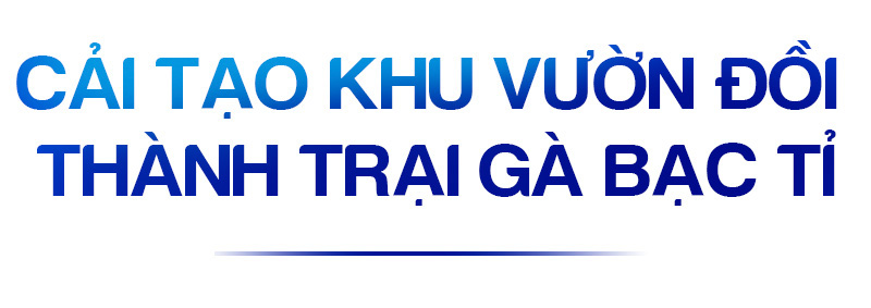 Sức trẻ dấn thân của tuổi trẻ Quảng Ninh - Ảnh 11.