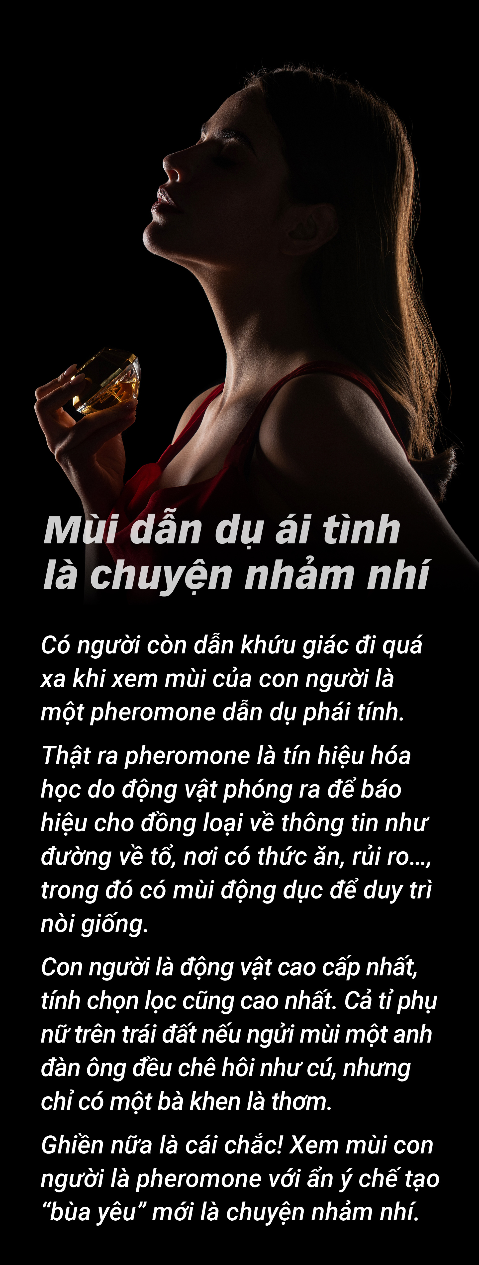 Lý lẽ của mùi: Từ khó ngửi tới dễ ngửi - Ảnh 10.