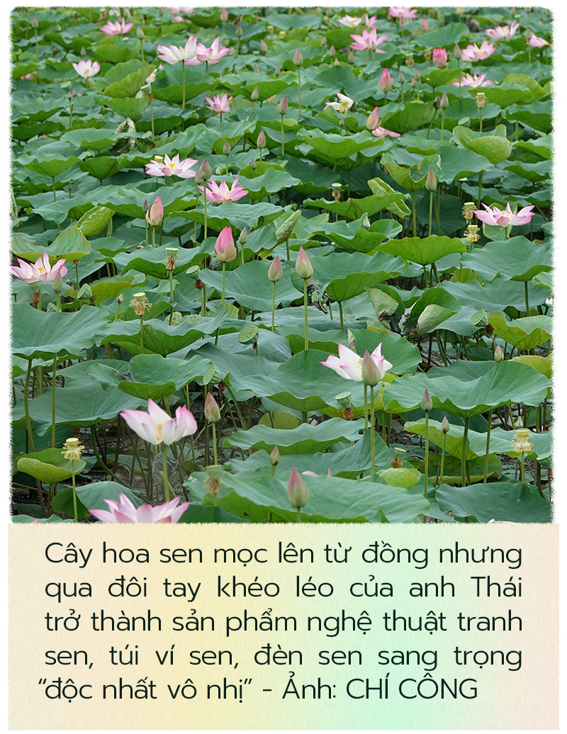 Hành trình người đưa lá sen Việt đến khách quốc tế - Ảnh 1.