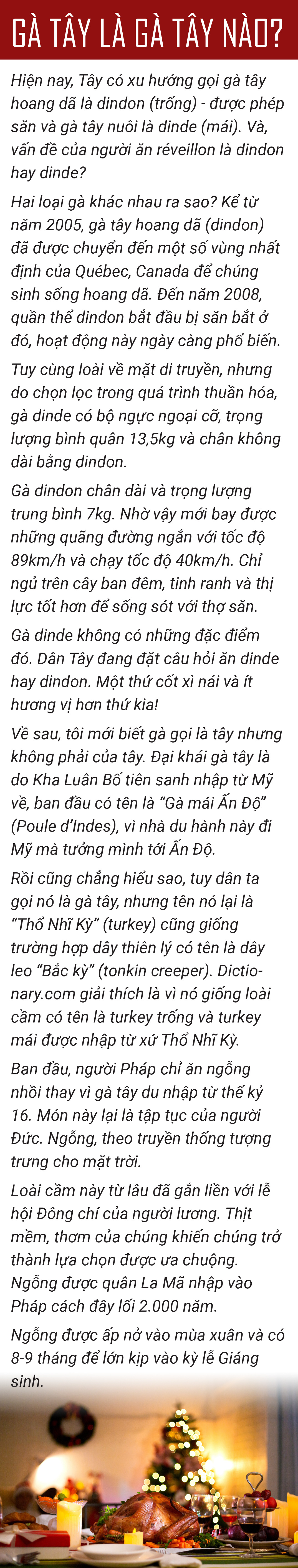 Ăn réveillon giáng sinh ở xứ Việt - Ảnh 10.