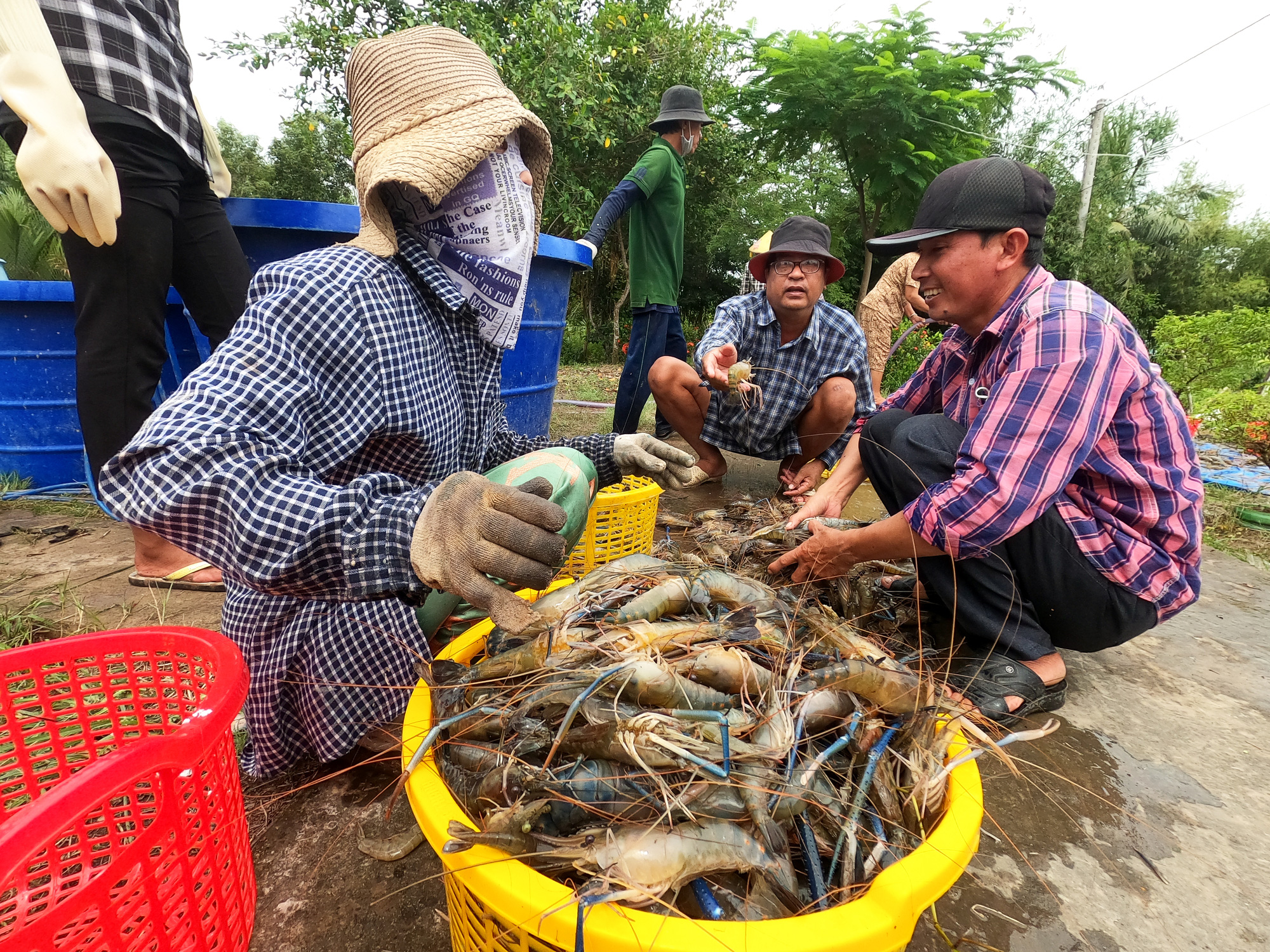 Tin tức sáng 21-10: Quốc hội thảo luận sửa Luật Bảo hiểm xã hội, thêm nhiều nhóm bảo hiểm bắt buộc - Ảnh 3.