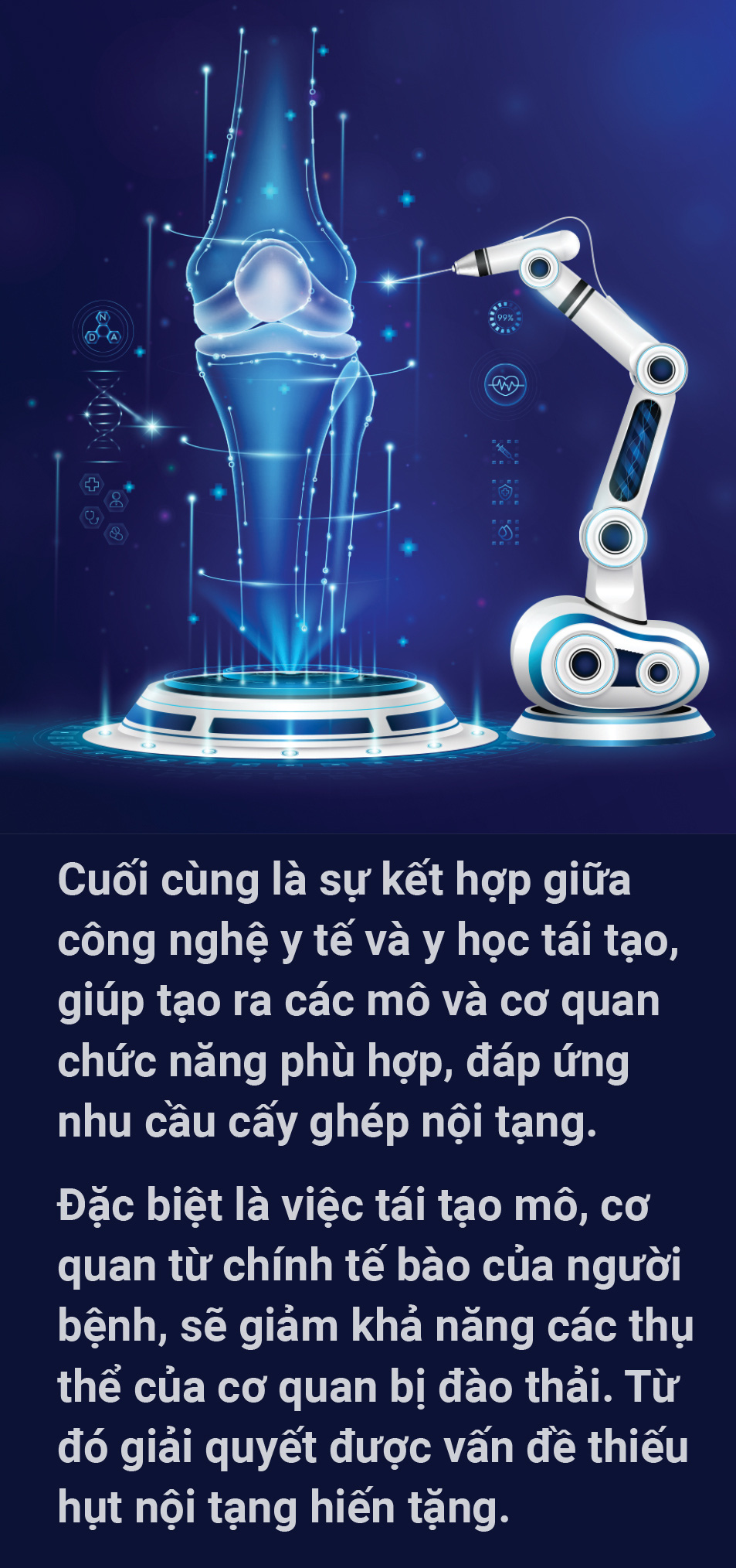2024 - Biến động và sáng tạo - Ảnh 58.