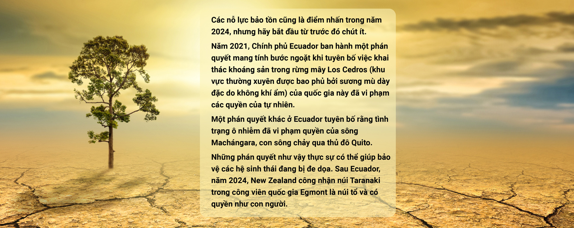 2024 - Biến động và sáng tạo - Ảnh 65.