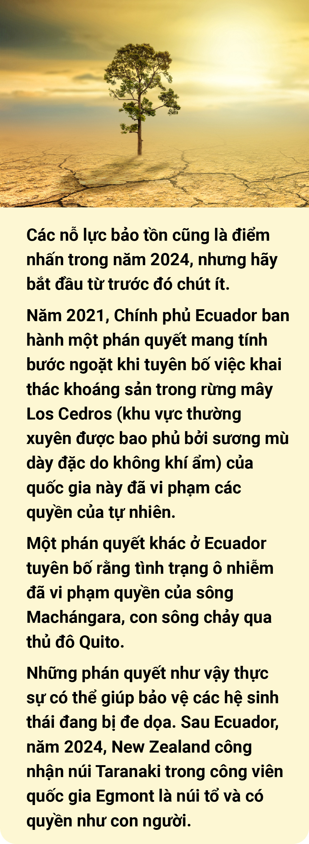 2024 - Biến động và sáng tạo - Ảnh 65.