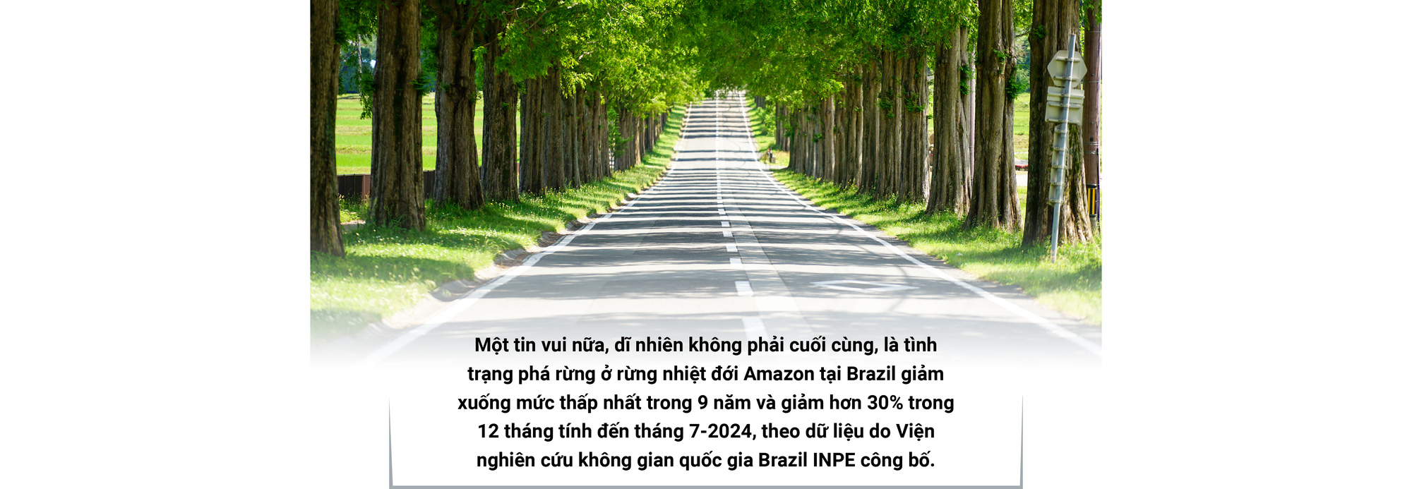 2024 - Biến động và sáng tạo - Ảnh 69.