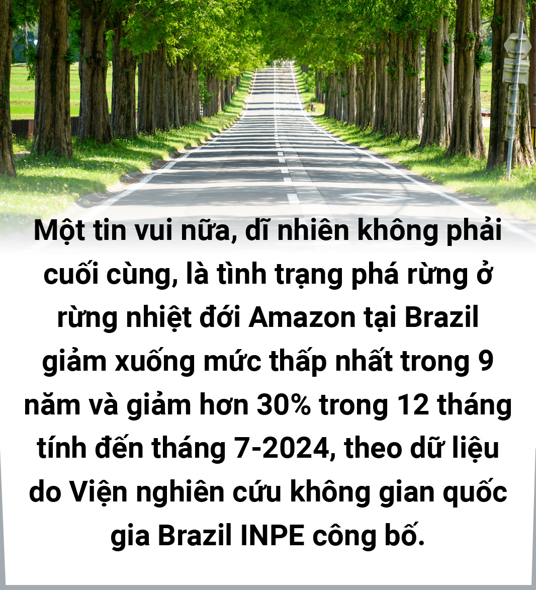 2024 - Biến động và sáng tạo - Ảnh 69.