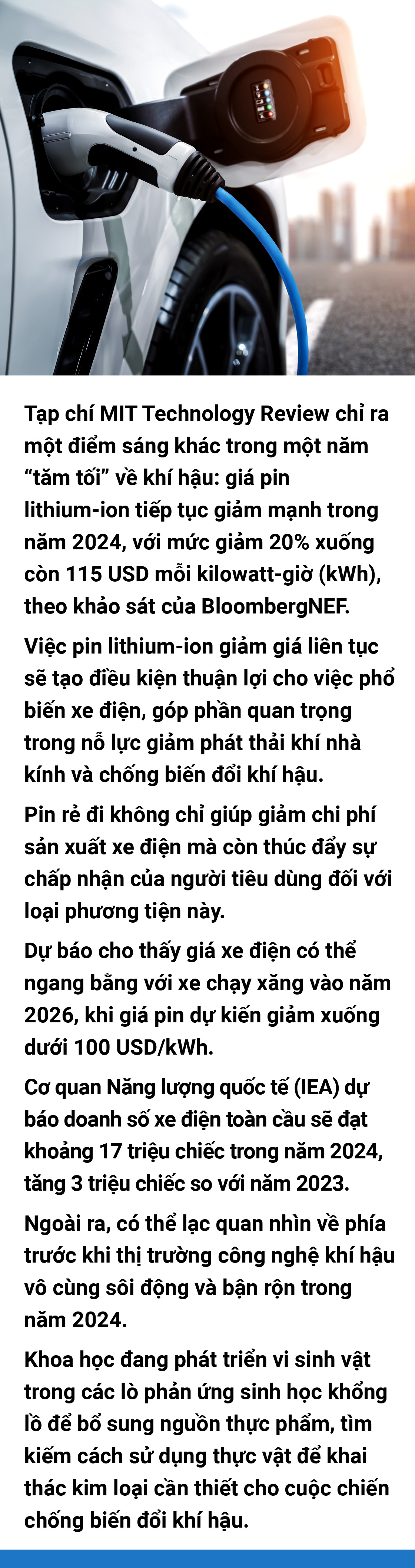 2024 - Biến động và sáng tạo - Ảnh 70.