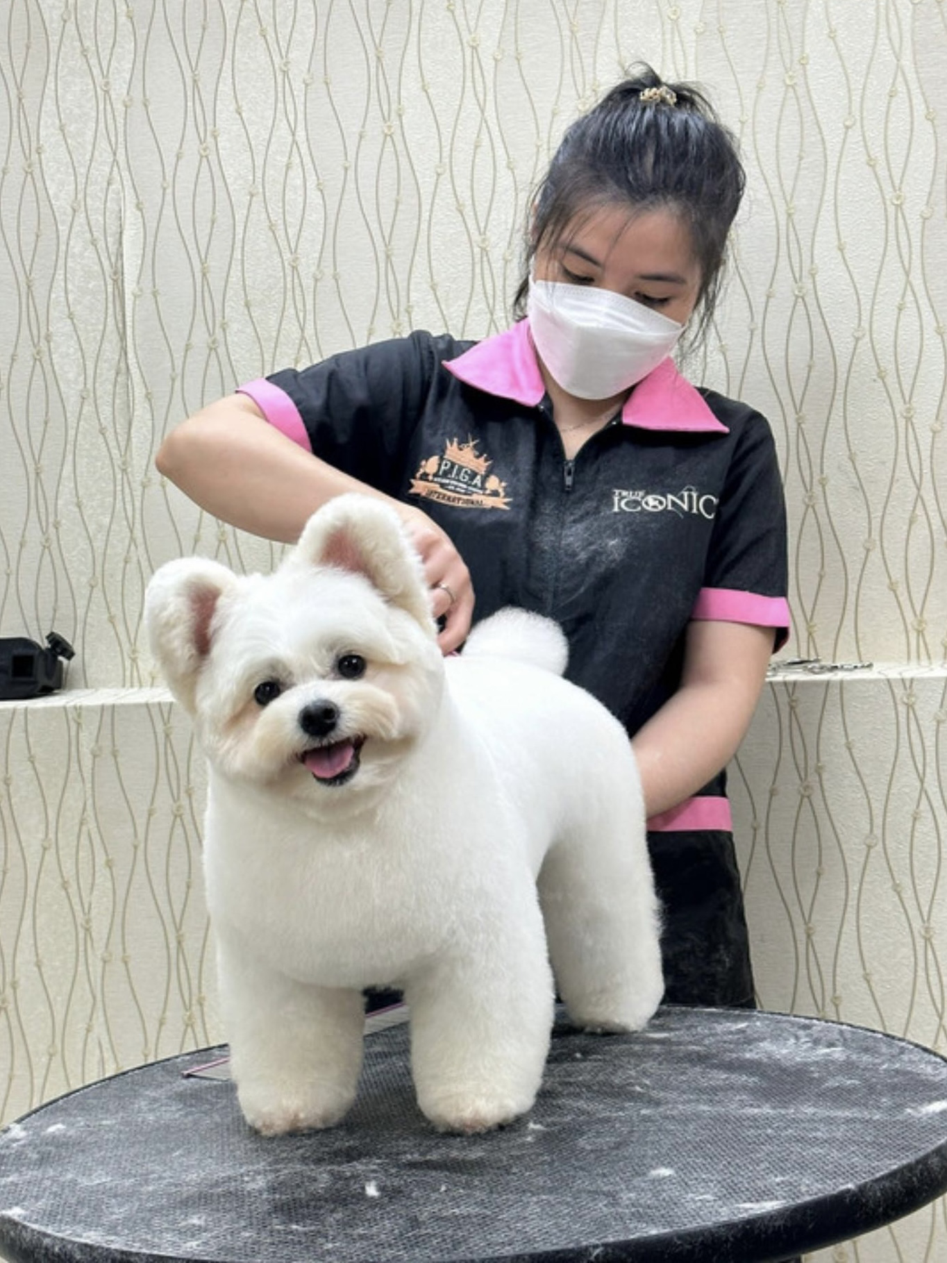 Dịch vụ khách sạn, làm đẹp cho thú cưng tất bật cận Tết Giáp Thìn- Ảnh 19.