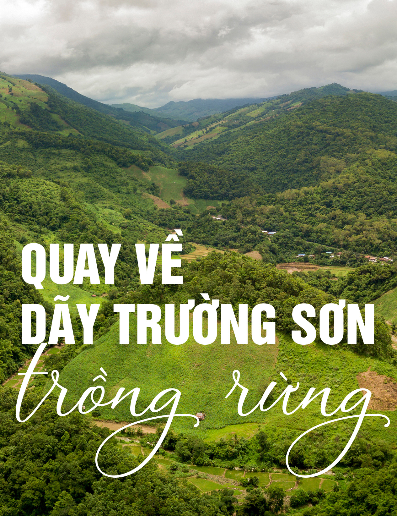 Quay về dãy Trường Sơn trồng rừng - Ảnh 11.