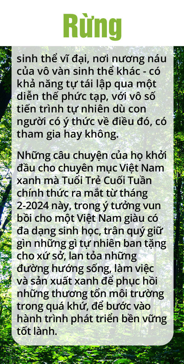 Quay về dãy Trường Sơn trồng rừng - Ảnh 1.