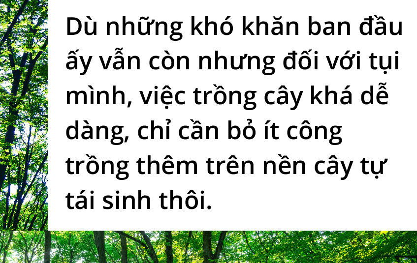 Quay về dãy Trường Sơn trồng rừng - Ảnh 17.