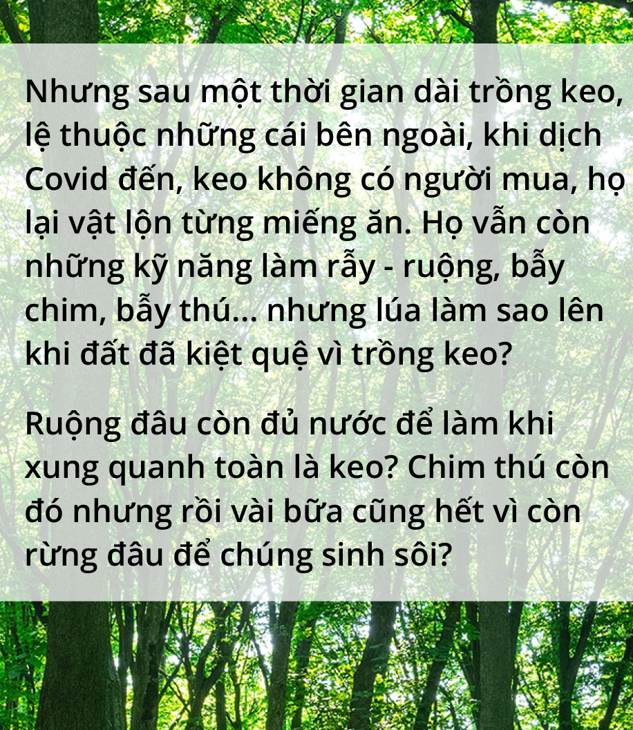 Quay về dãy Trường Sơn trồng rừng - Ảnh 16.