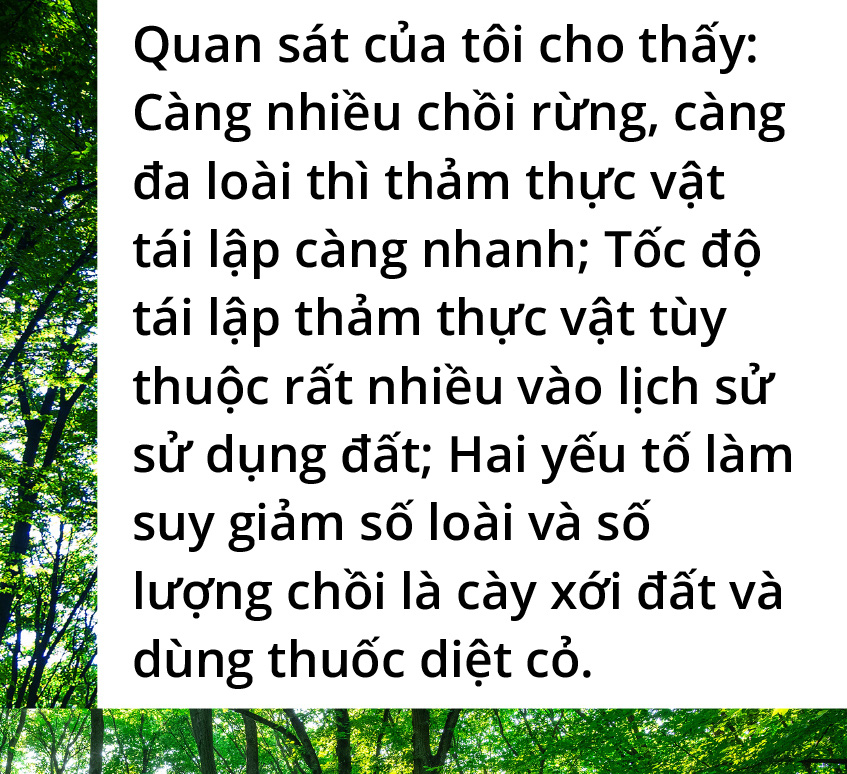 Quay về dãy Trường Sơn trồng rừng - Ảnh 6.