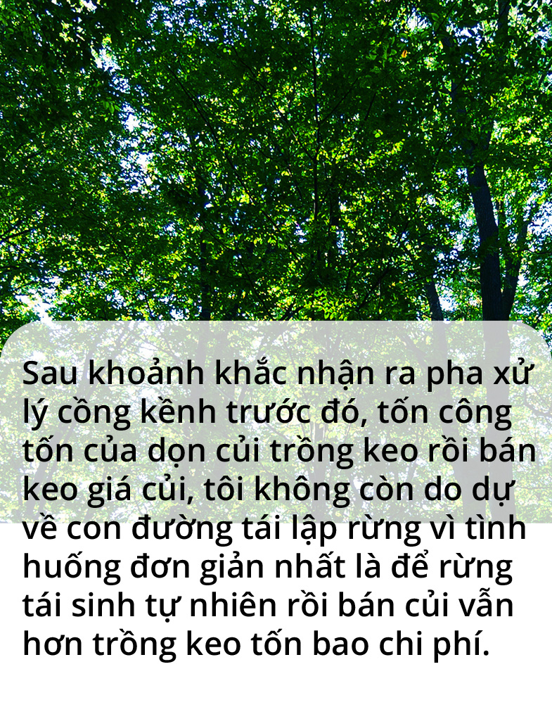 Quay về dãy Trường Sơn trồng rừng - Ảnh 7.