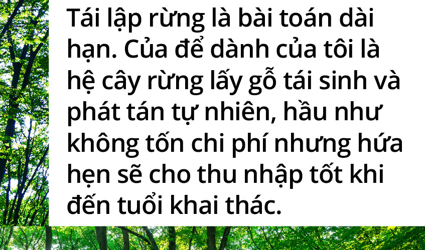 Quay về dãy Trường Sơn trồng rừng - Ảnh 10.