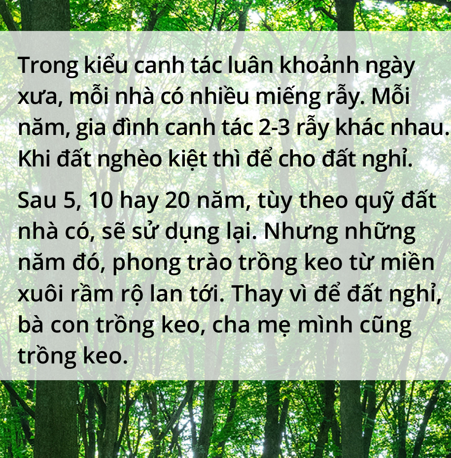 Quay về dãy Trường Sơn trồng rừng - Ảnh 14.