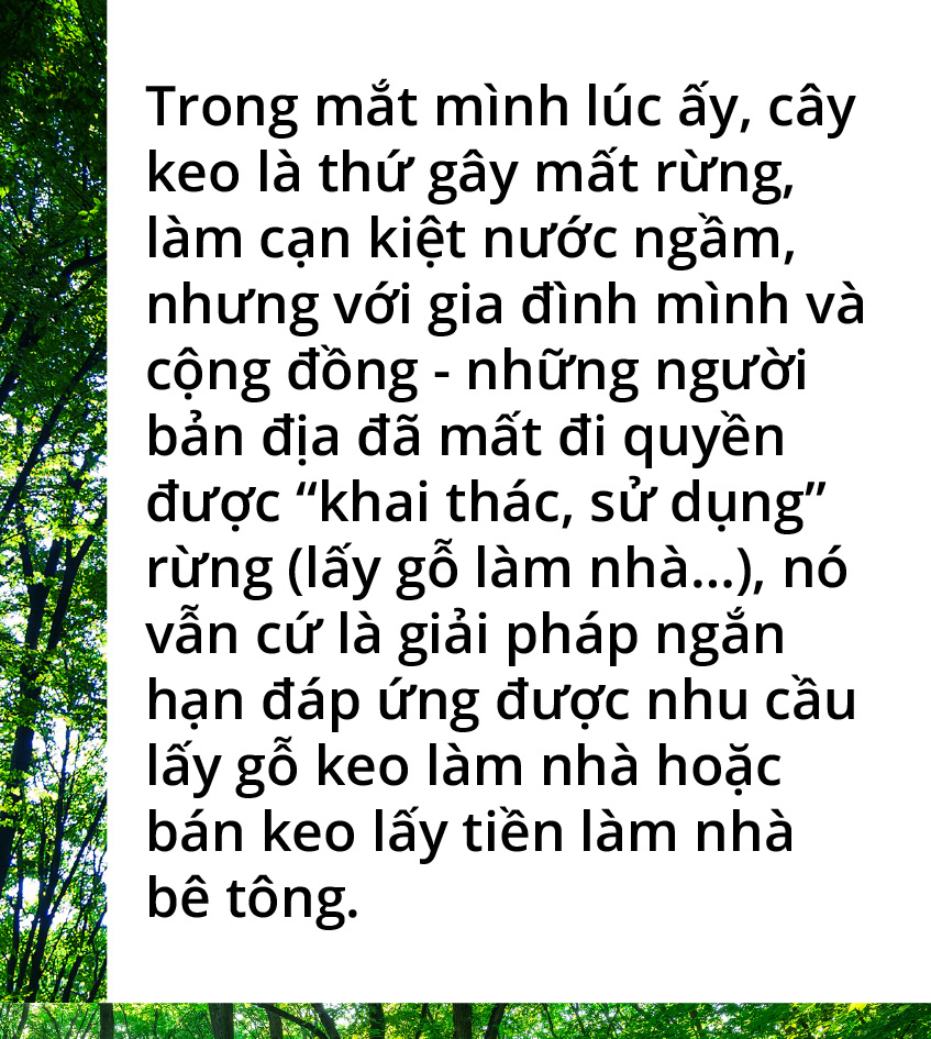 Quay về dãy Trường Sơn trồng rừng - Ảnh 15.