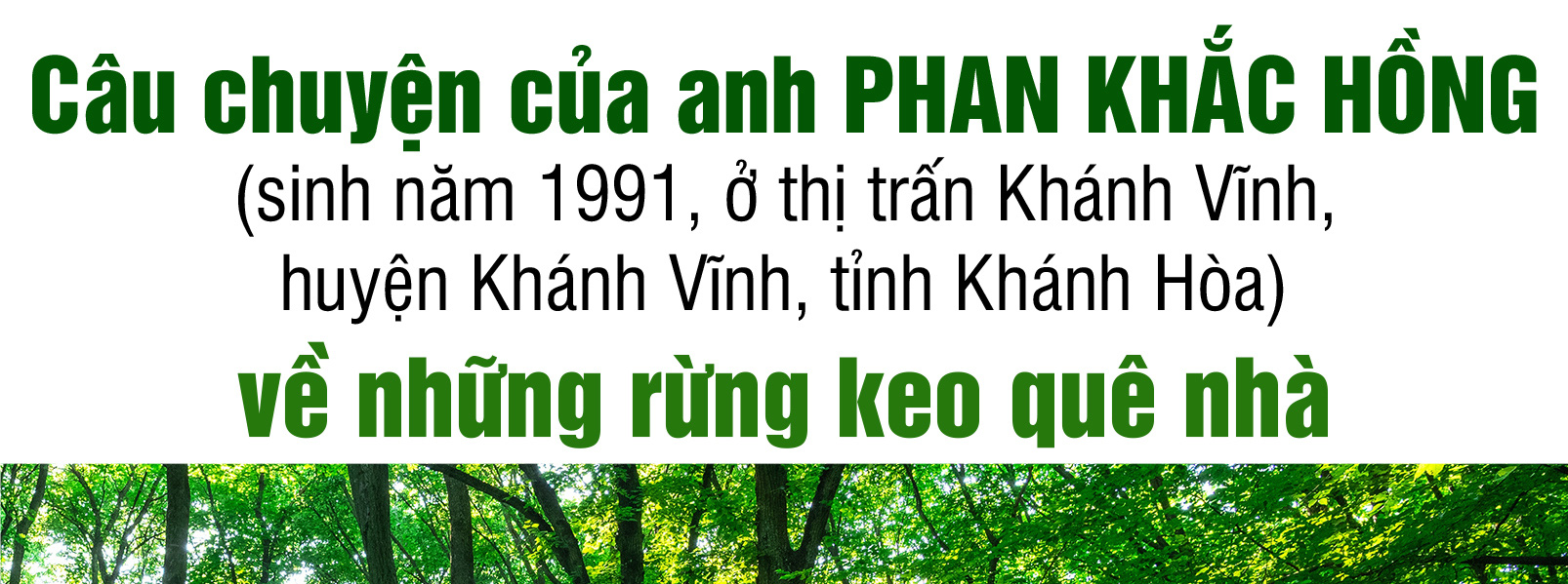 Quay về dãy Trường Sơn trồng rừng - Ảnh 2.