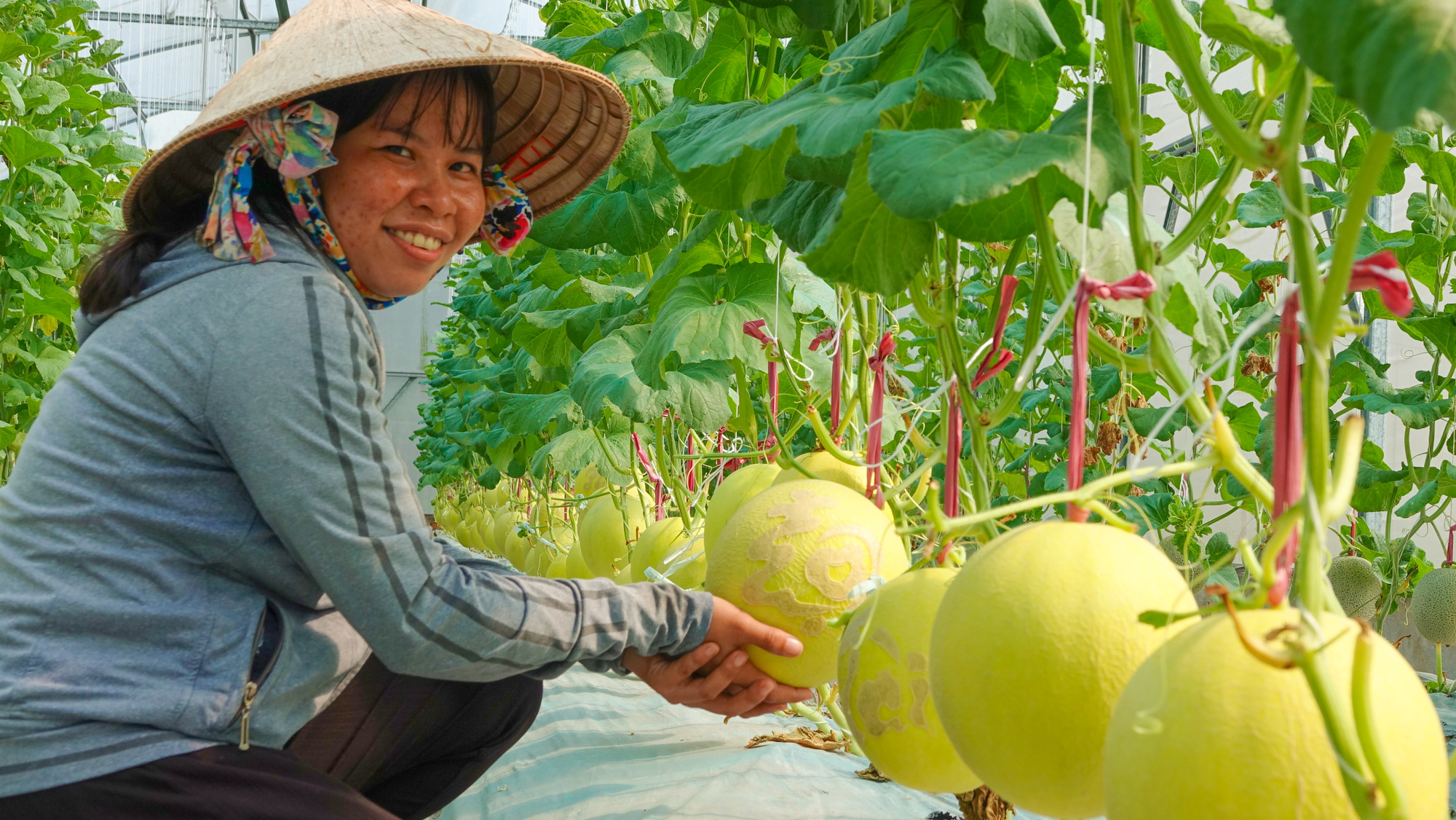 Bạn có biết món dưa lưới hỗ trợ sức khỏe tiêu hóa và hệ miễn dịch? - Ảnh 1.