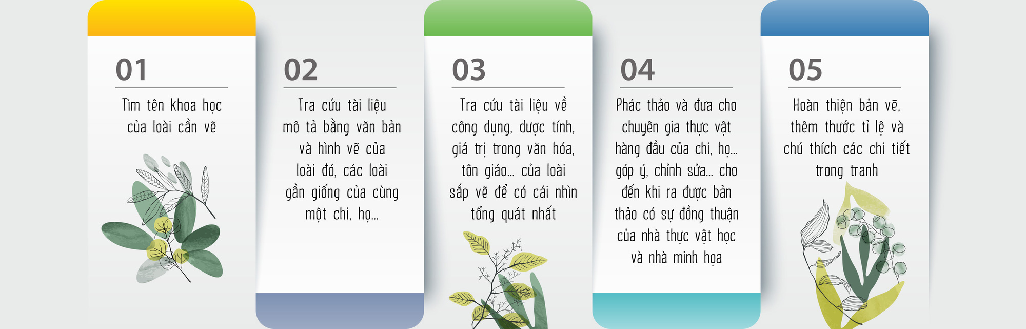 Minh họa thực vật: Tìm cái đẹp trong cái thật - Ảnh 5.