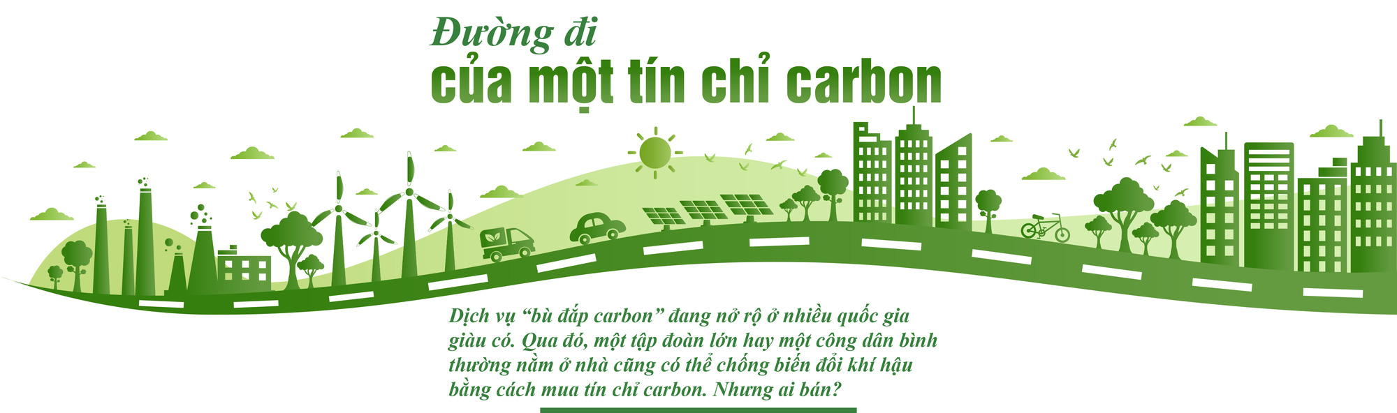 5 đô la một tín chỉ carbon là mắc hay rẻ? - Ảnh 7.