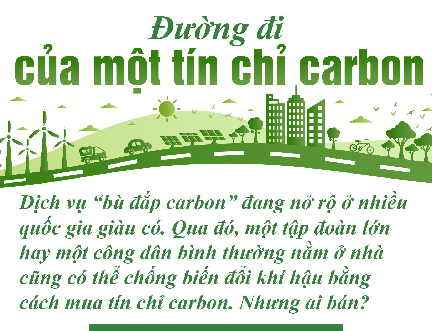 5 đô la một tín chỉ carbon là mắc hay rẻ? - Ảnh 7.