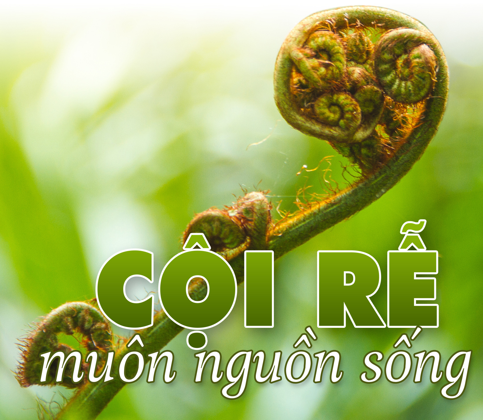 5 đô la một tín chỉ carbon là mắc hay rẻ? - Ảnh 22.