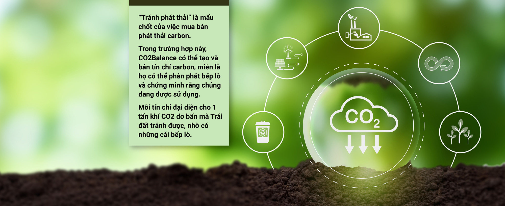 5 đô la một tín chỉ carbon là mắc hay rẻ? - Ảnh 11.