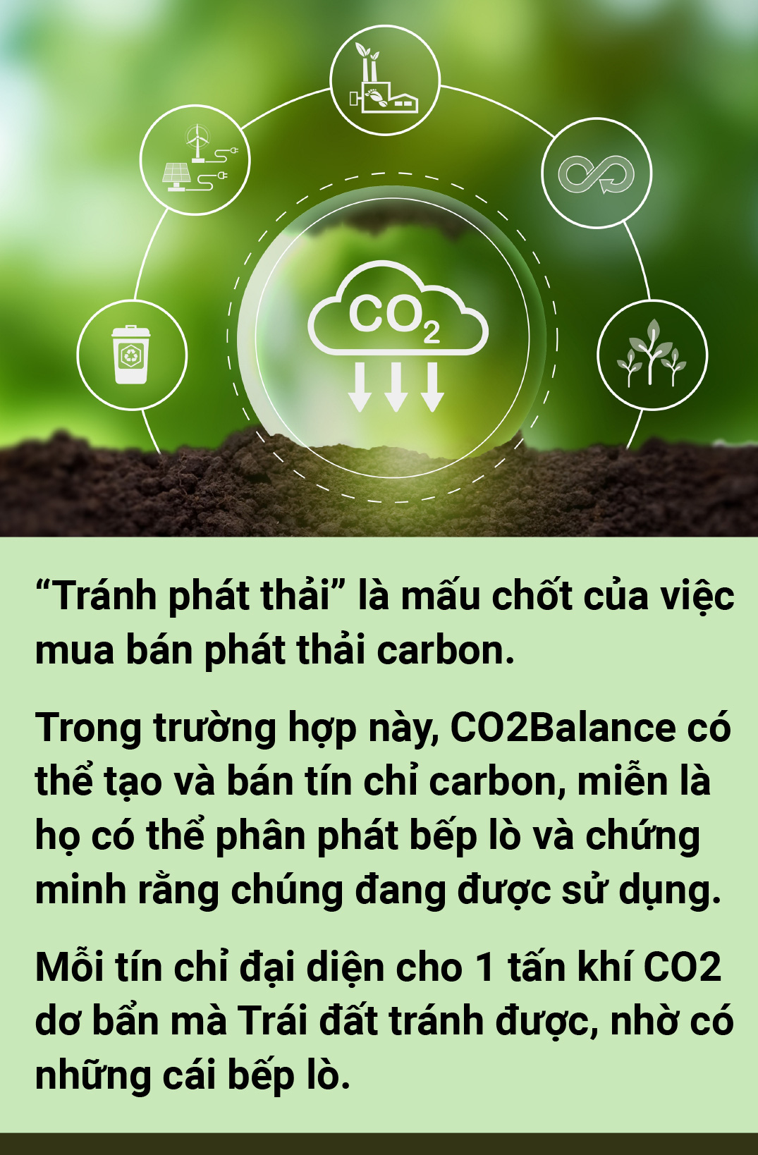5 đô la một tín chỉ carbon là mắc hay rẻ? - Ảnh 11.