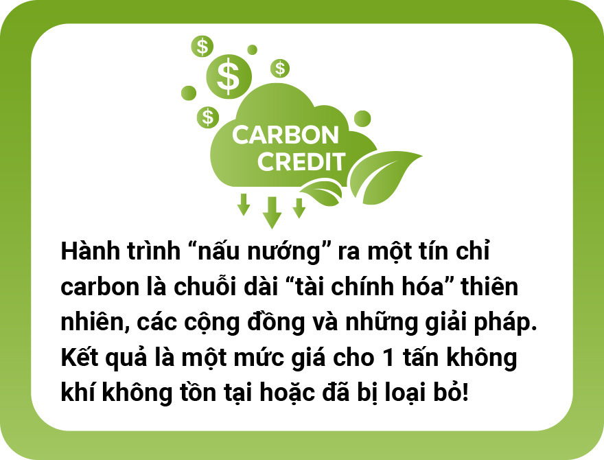 5 đô la một tín chỉ carbon là mắc hay rẻ? - Ảnh 13.