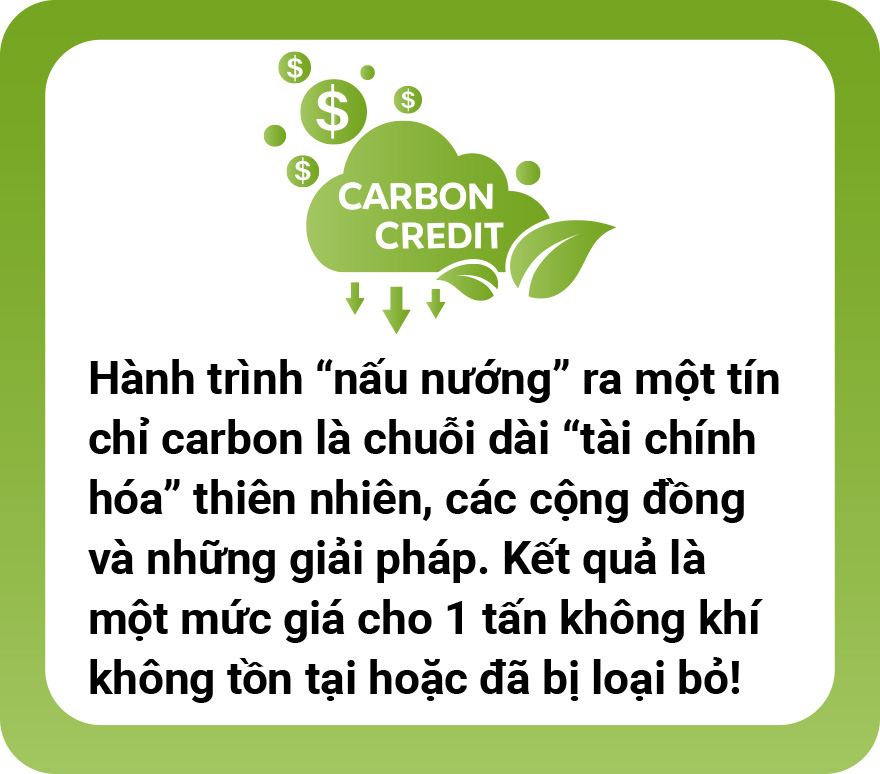 5 đô la một tín chỉ carbon là mắc hay rẻ? - Ảnh 13.