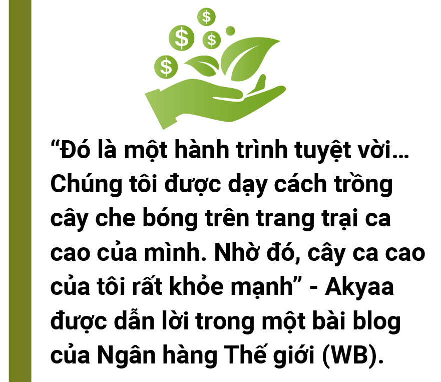 5 đô la một tín chỉ carbon là mắc hay rẻ? - Ảnh 19.