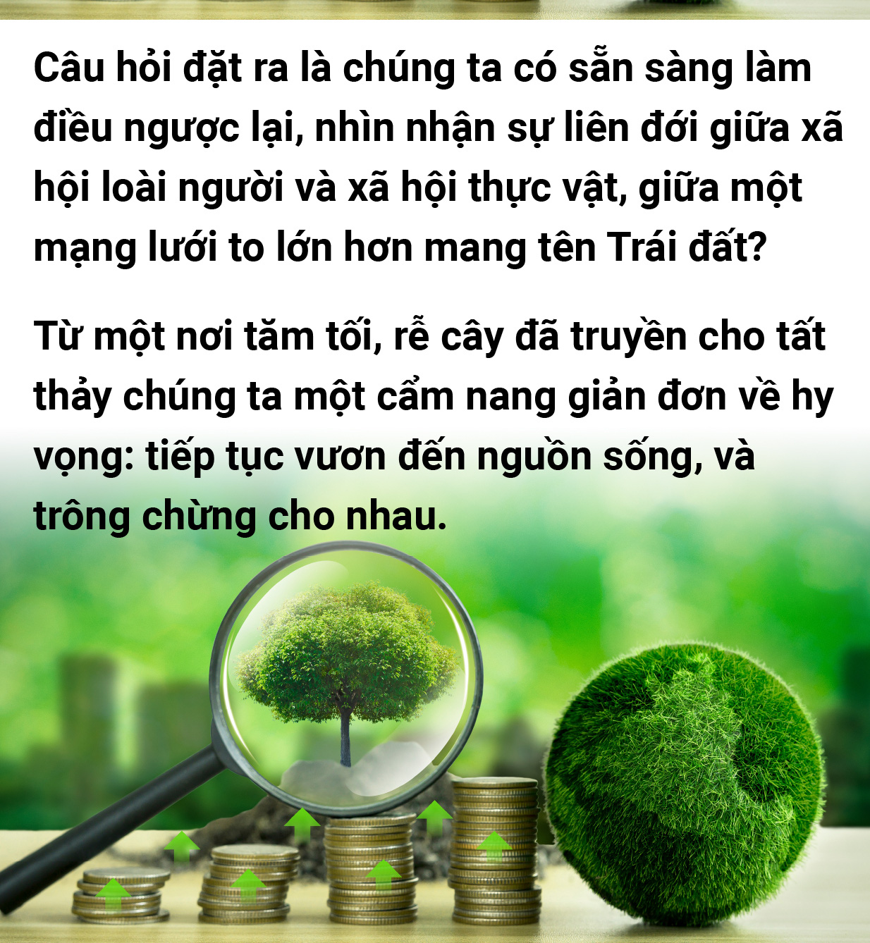 5 đô la một tín chỉ carbon là mắc hay rẻ? - Ảnh 25.