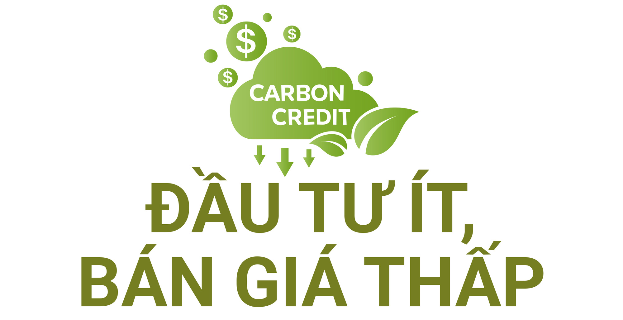 5 đô la một tín chỉ carbon là mắc hay rẻ? - Ảnh 2.