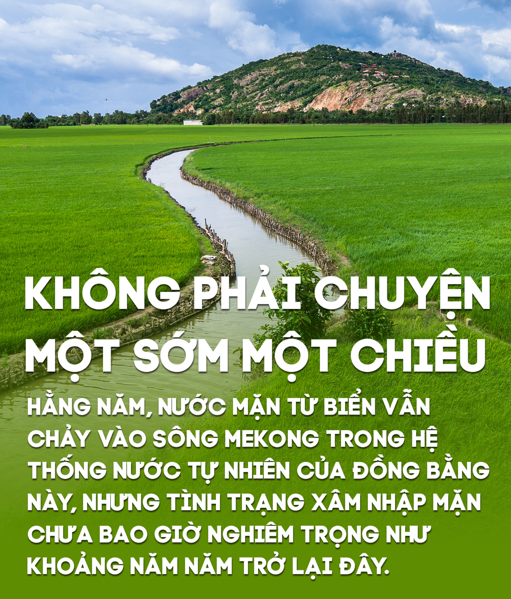 Nước mặn ở Đồng bằng sông Cửu Long:  xưa, nay và mai - Ảnh 6.