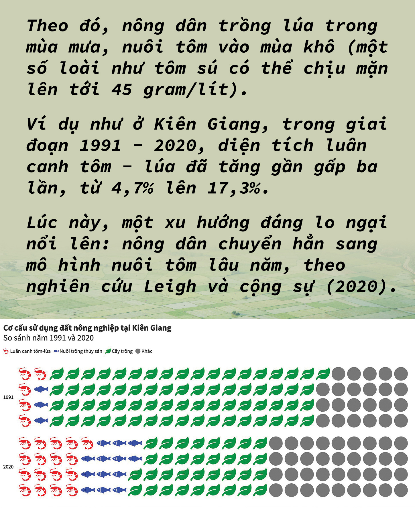 Nước mặn ở Đồng bằng sông Cửu Long:  xưa, nay và mai - Ảnh 5.