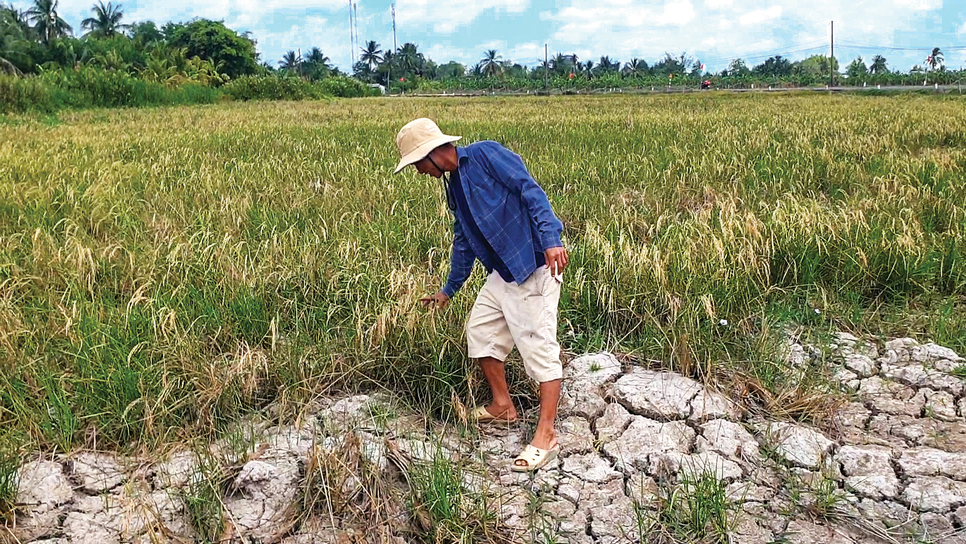 Nước mặn ở Đồng bằng sông Cửu Long:  xưa, nay và mai - Ảnh 18.