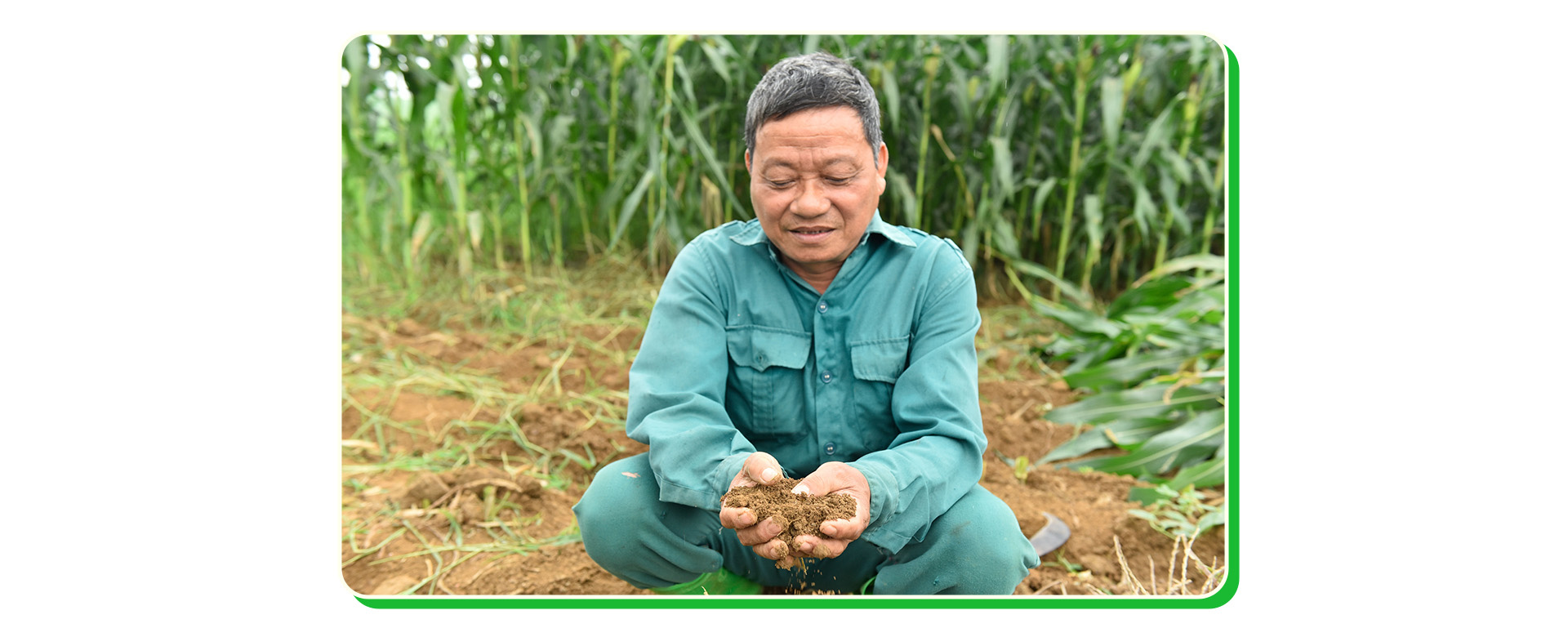 Vinamilk cùng nông dân ‘hồi sinh’ những vùng đất nghèo- Ảnh 11.