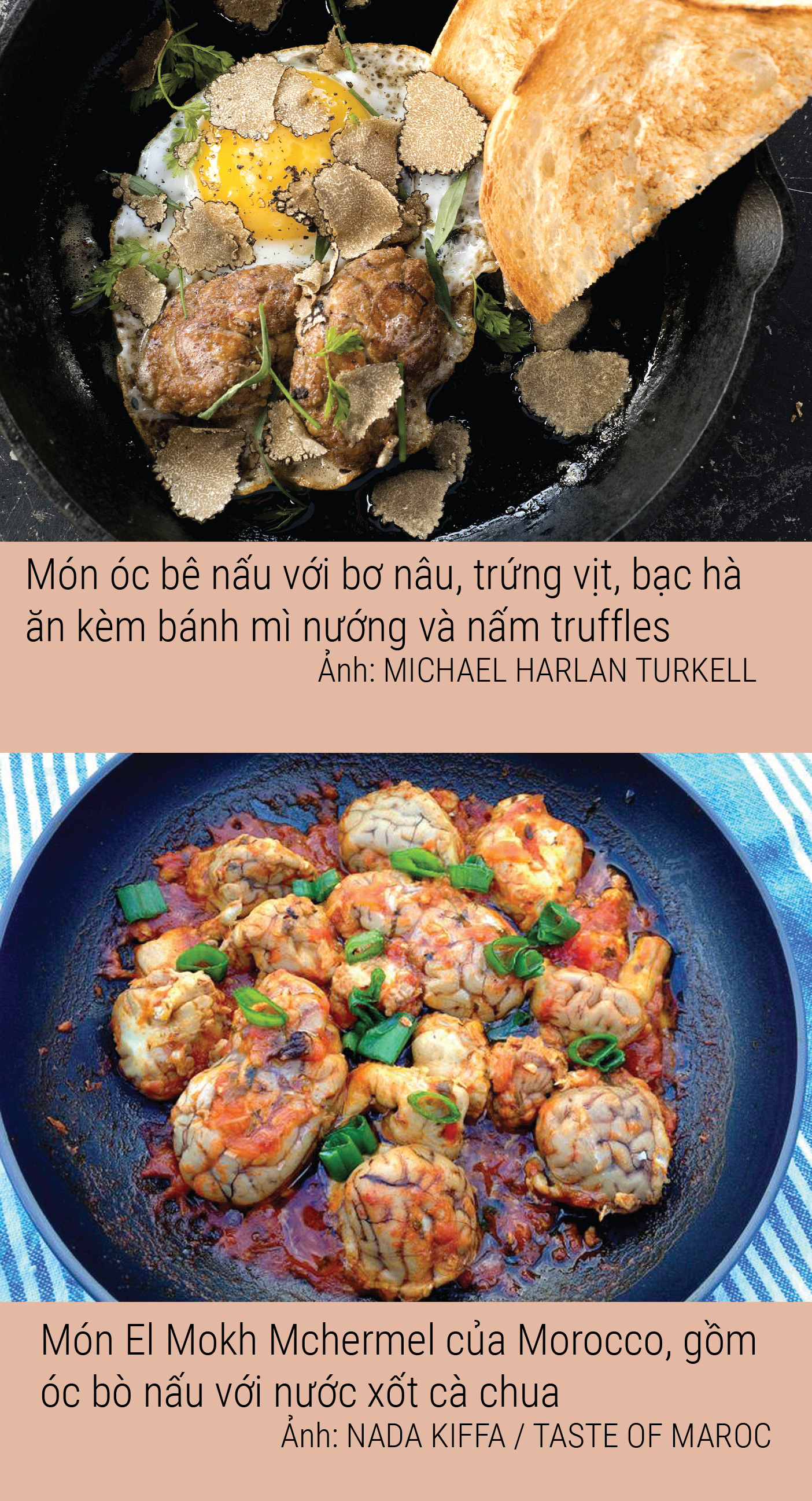 Ăn óc để não cũng gật gù như lưỡi - Ảnh 10.