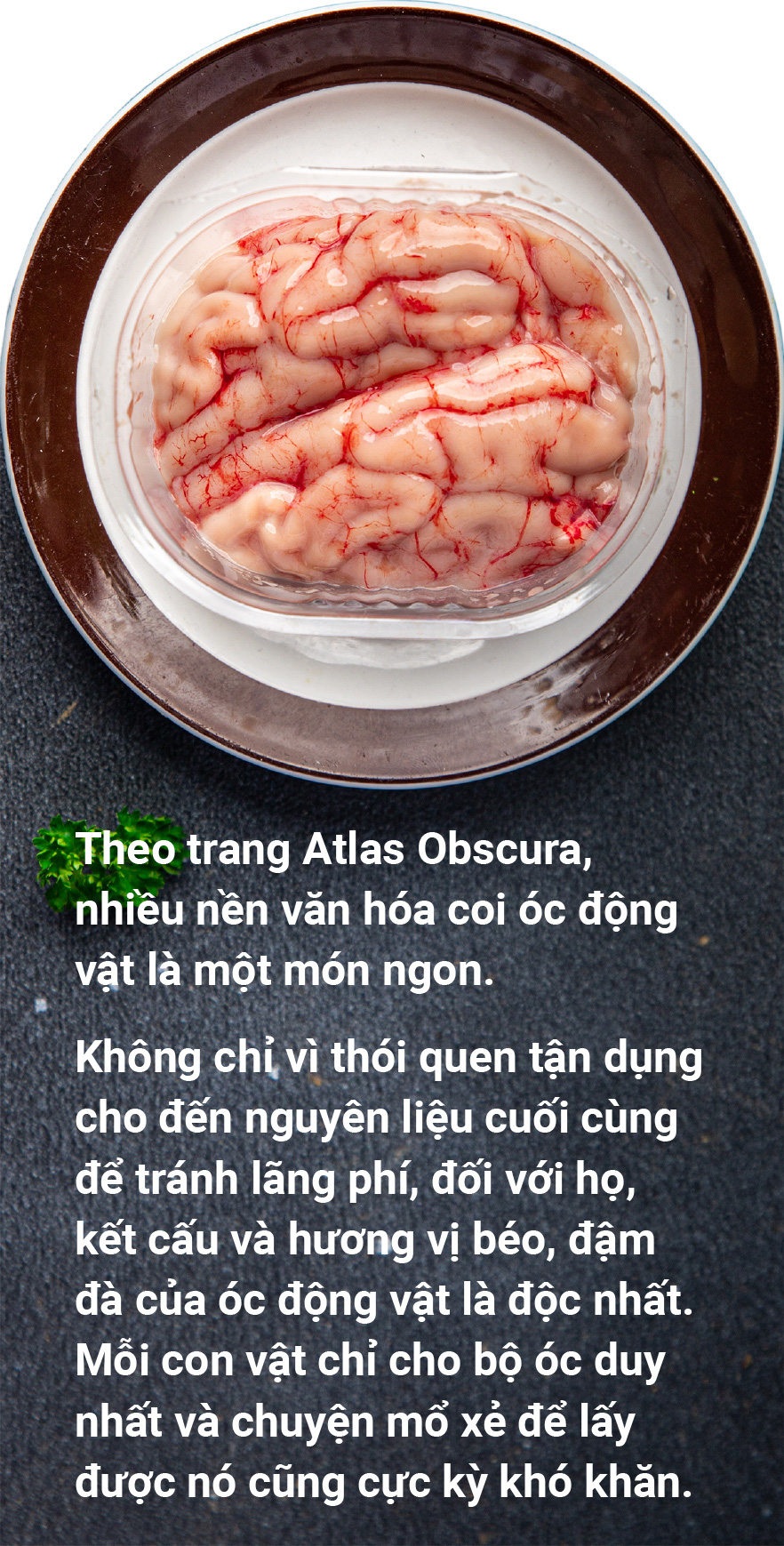 Ăn óc để não cũng gật gù như lưỡi - Ảnh 1.
