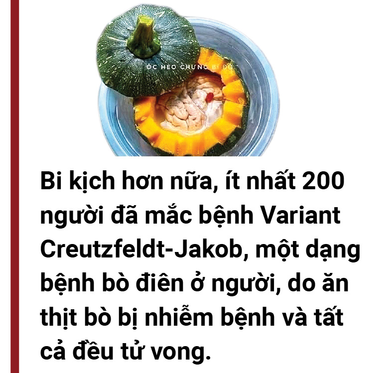 Ăn óc để não cũng gật gù như lưỡi - Ảnh 8.