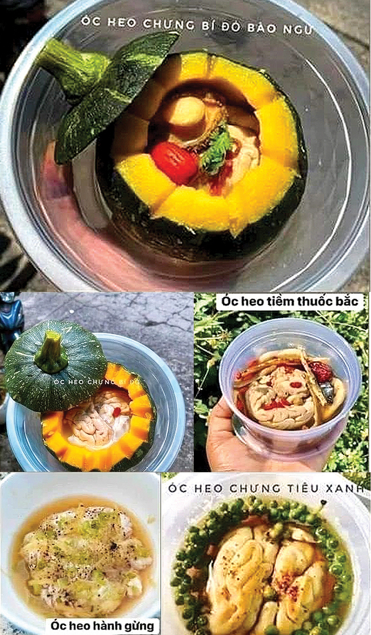 Ăn óc để não cũng gật gù như lưỡi - Ảnh 6.