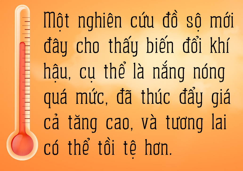 Trời nóng, giá cả cũng 'nóng'- Ảnh 1.