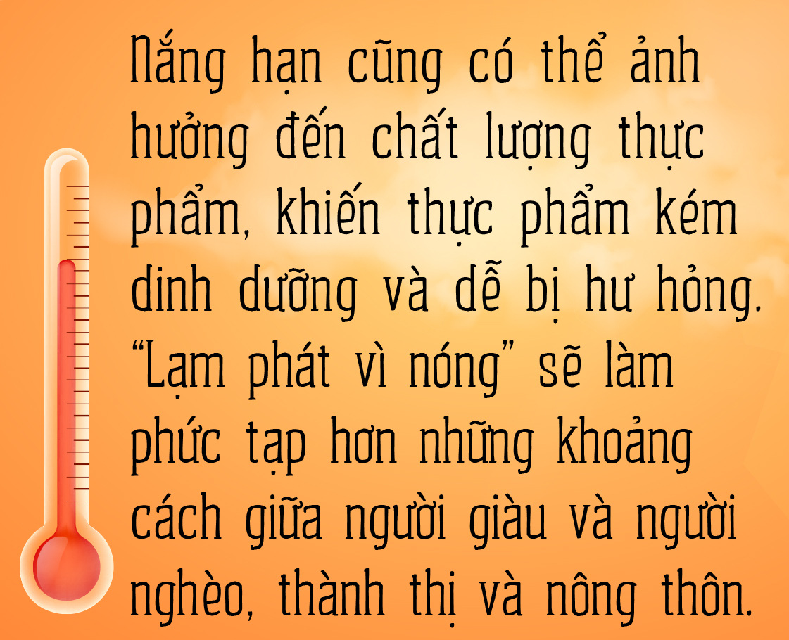 Trời nóng, giá cả cũng 'nóng'- Ảnh 3.