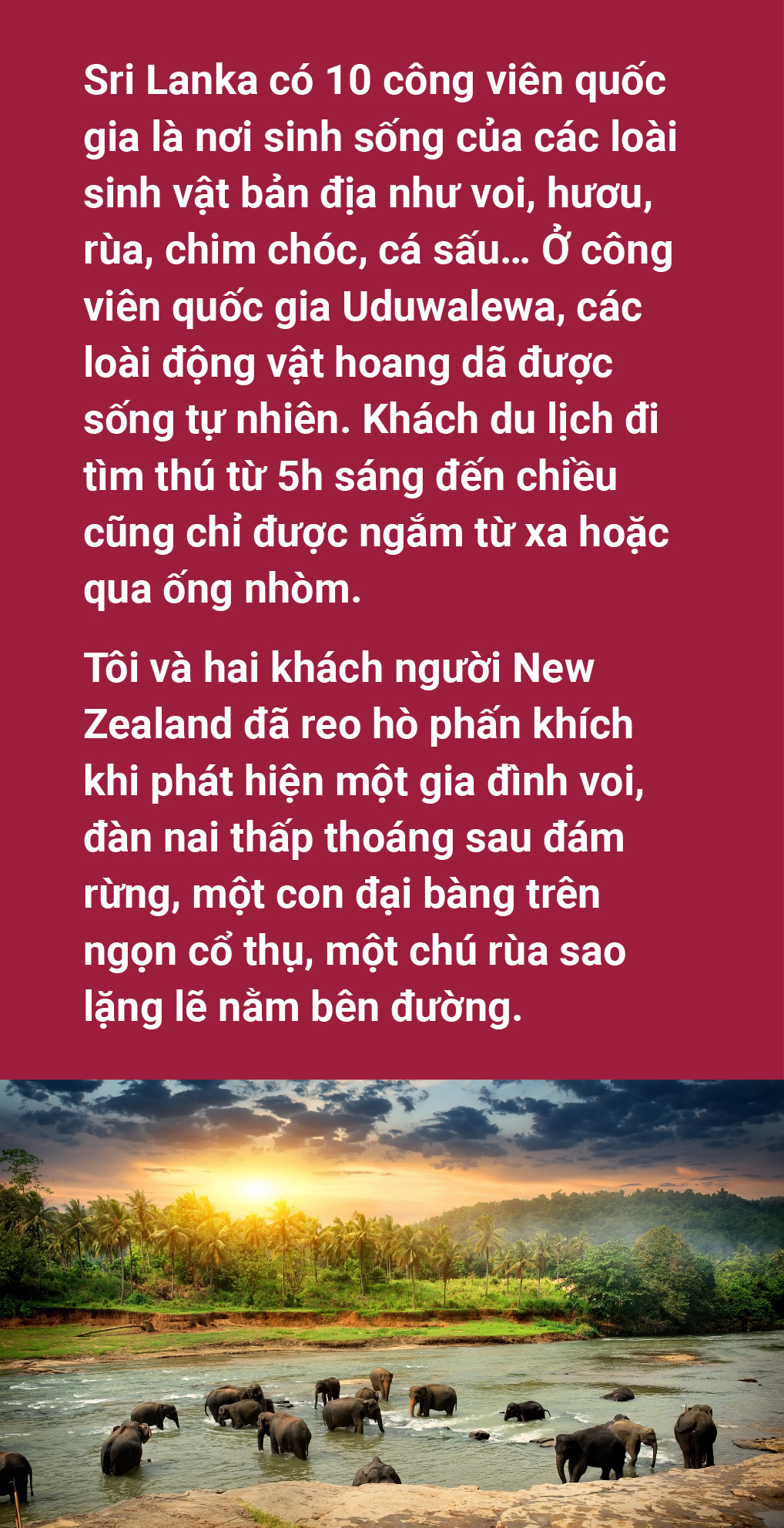 Nụ cười không tắt ở đất nước hình giọt lệ Sri Lanka - Ảnh 6.