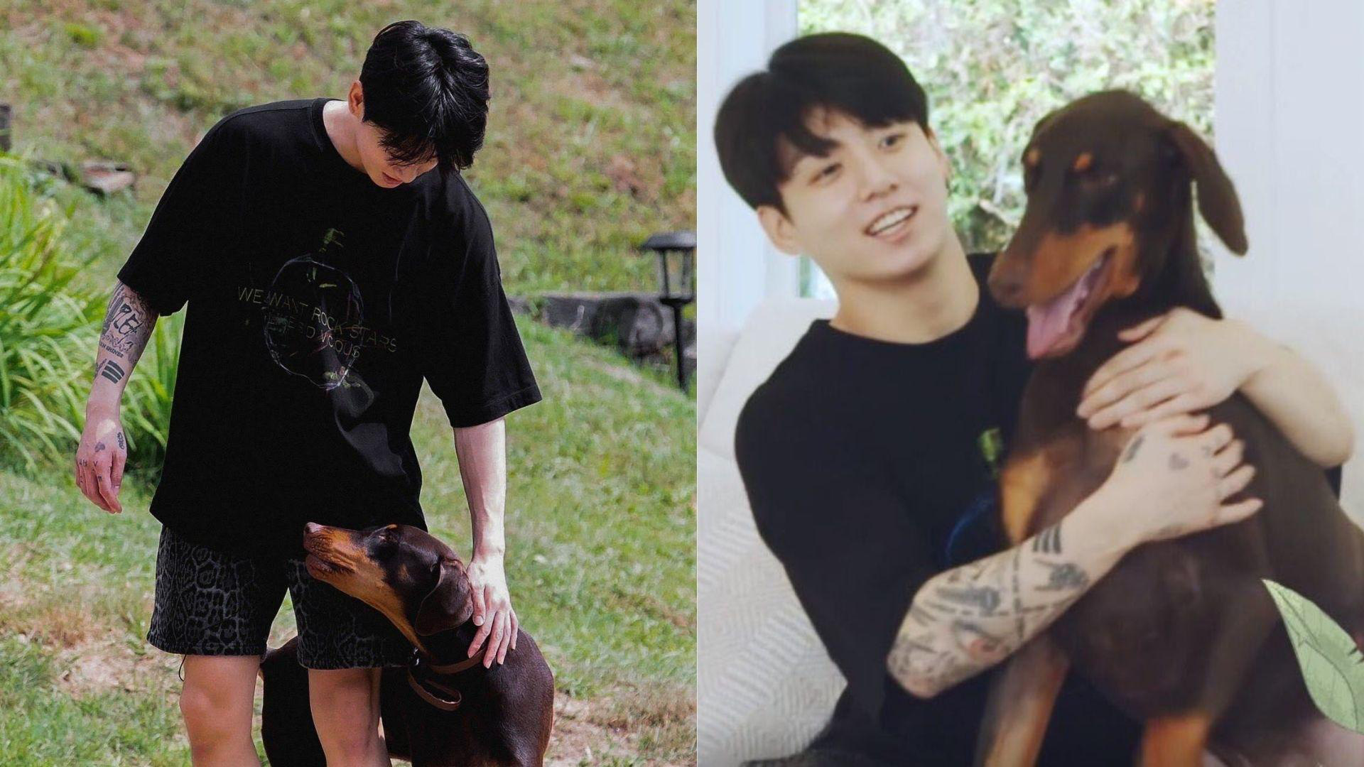 Vừa lên mạng xã hội, chó cưng của Jungkook đã có cả triệu người theo