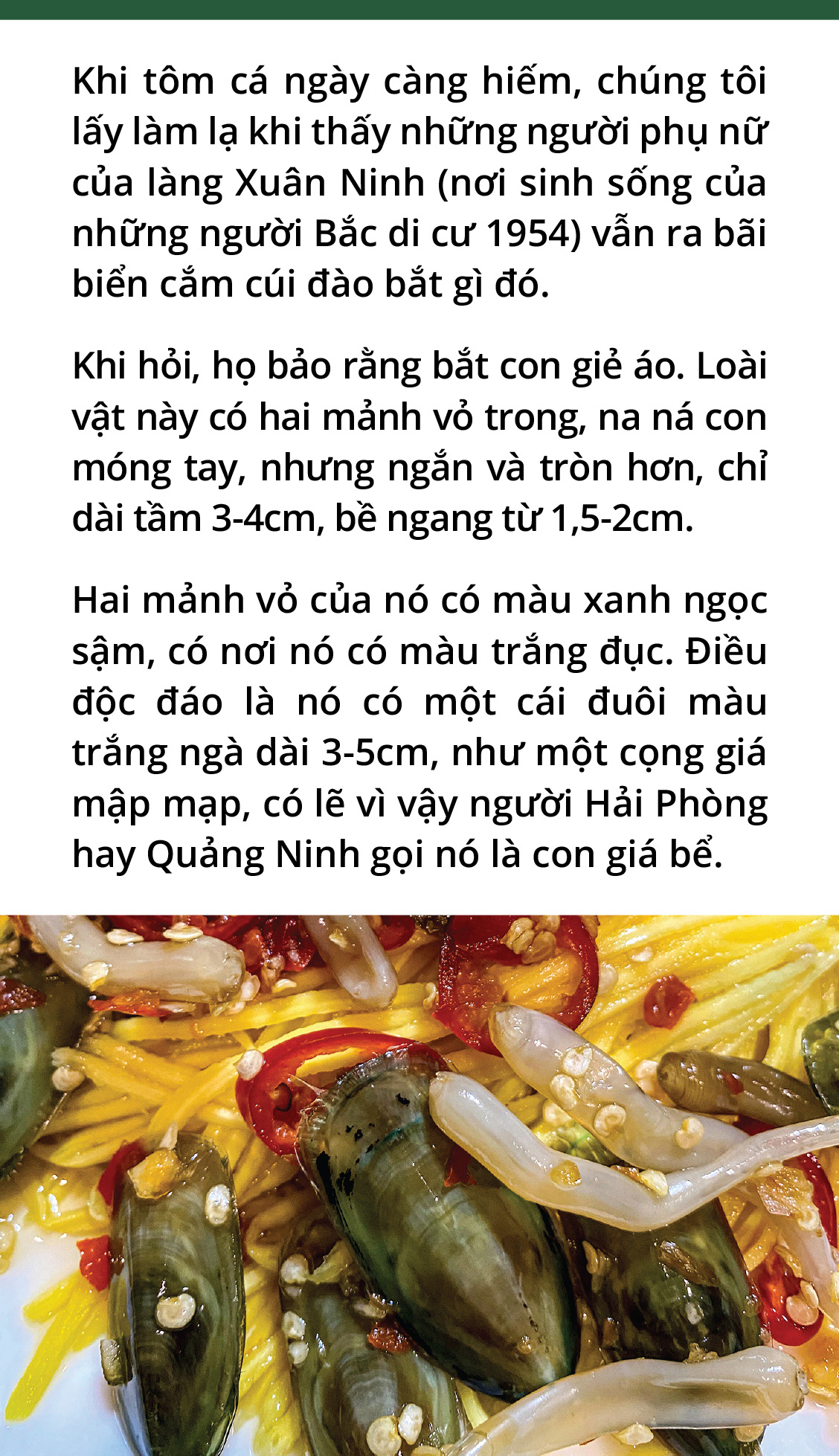 Giá bể, giẻ áo, cà xỉu và 500 triệu năm trên đĩa ăn - Ảnh 3.