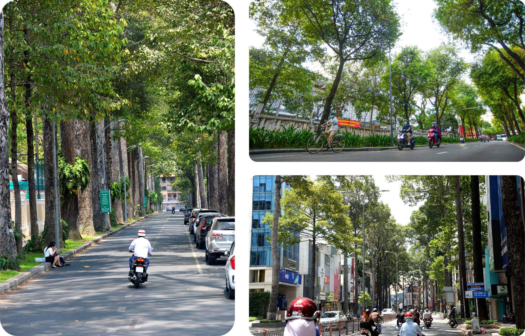 Mơ về một thành phố xanh - Ảnh 4.