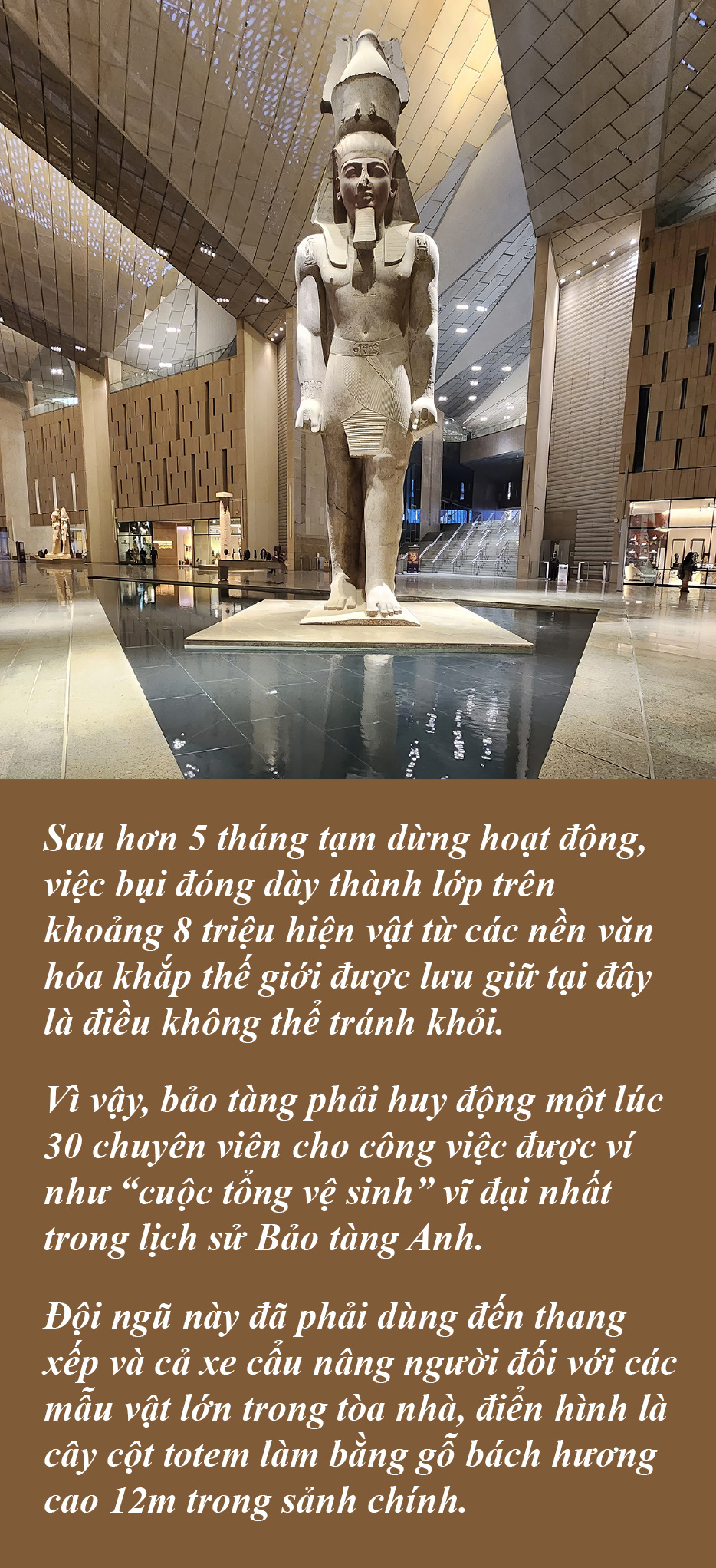 Có hạt bụi nào rơi trong... bảo tàng - Ảnh 8.